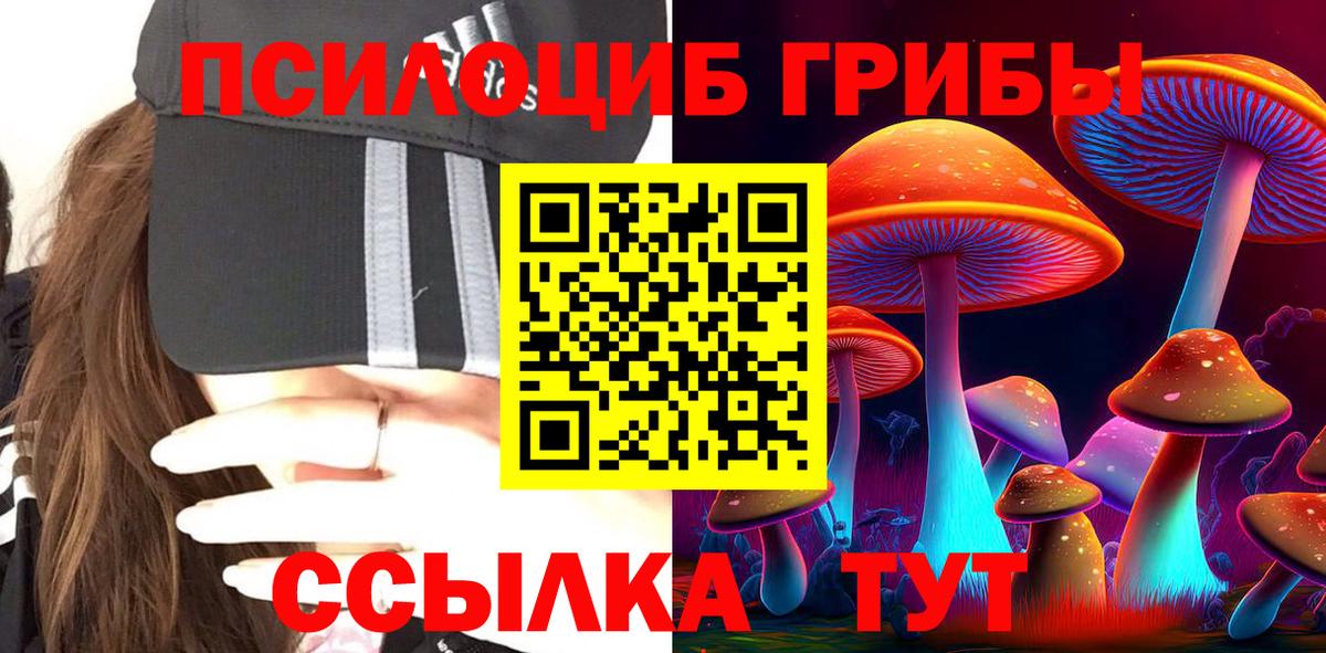 Галлюциногенные грибы Cubensis Фролово