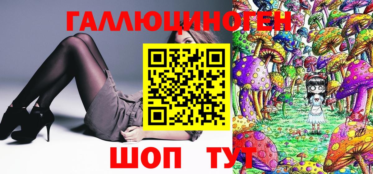 Фролово  Псилоцибиновые грибы прущие грибы  Вход с VPN 